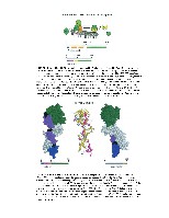 Bhagavan Medical Biochemistry 2001, page 1058